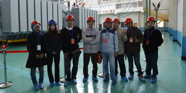 Delemex Team